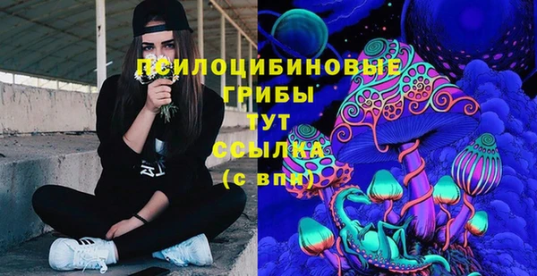 сатива Алексеевка