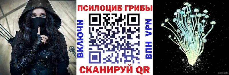купить   Йошкар-Ола  Галлюциногенные грибы мухоморы 