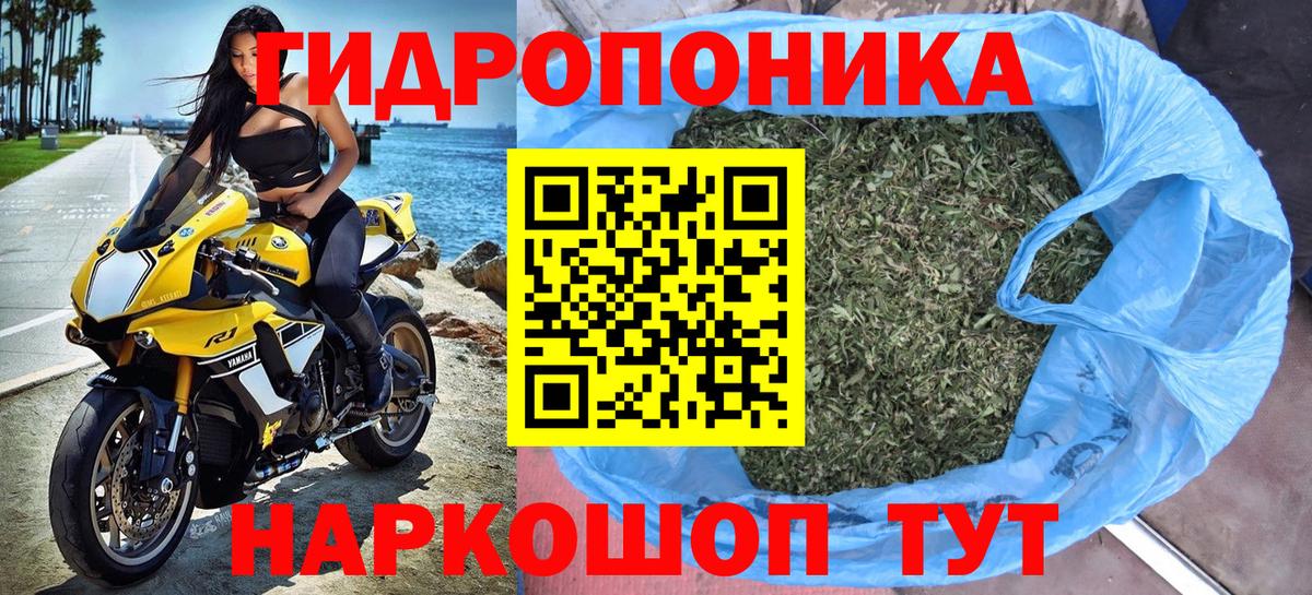 Бошки марихуана OG Kush Йошкар-Ола